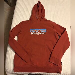 Mens Patagonia Hoodie